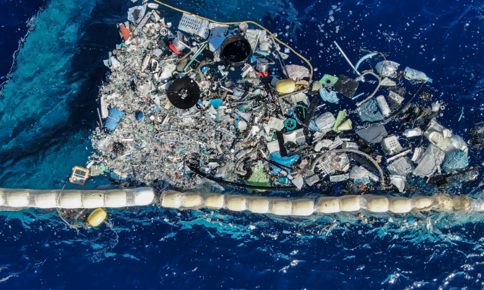 La gran mancha de basura del Pacífico es ahora tan enorme y permanente que un ecosistema costero prospera en ella, según científicos
