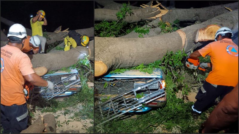 Un hombre perdió la vida luego que un árbol cayera sobre su vehiculó en Sonsonate