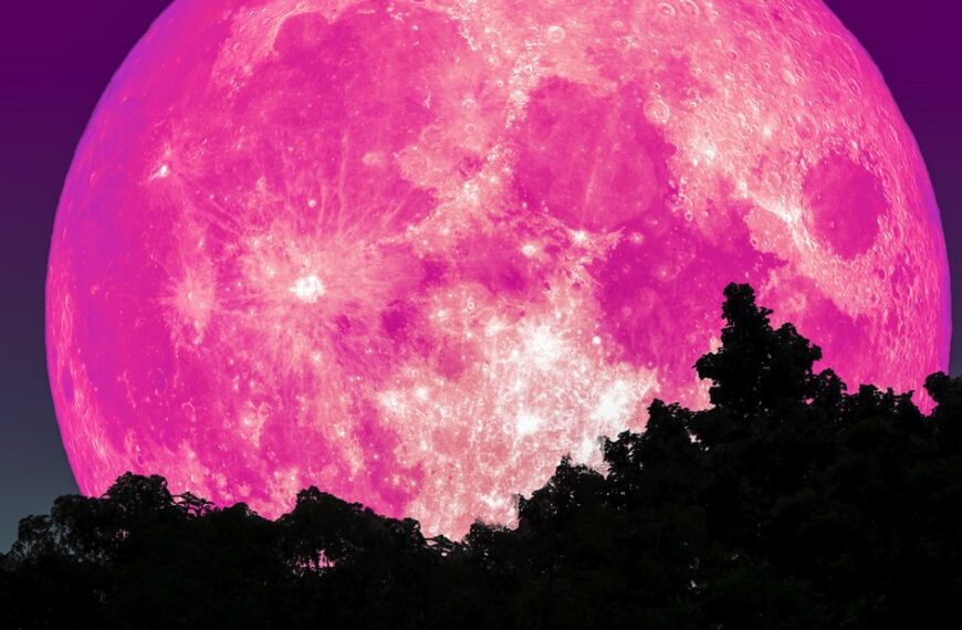 La luna rosa 2024 ocurrirá esta noche ¡no te la puedes perder!