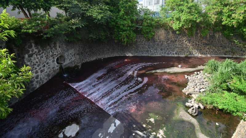 Gobierno investiga contaminación por cambio de color en agua de quebrada El Piro