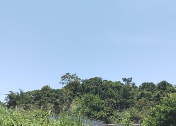 El pronóstico del clima en El Salvador para este fin de semana.