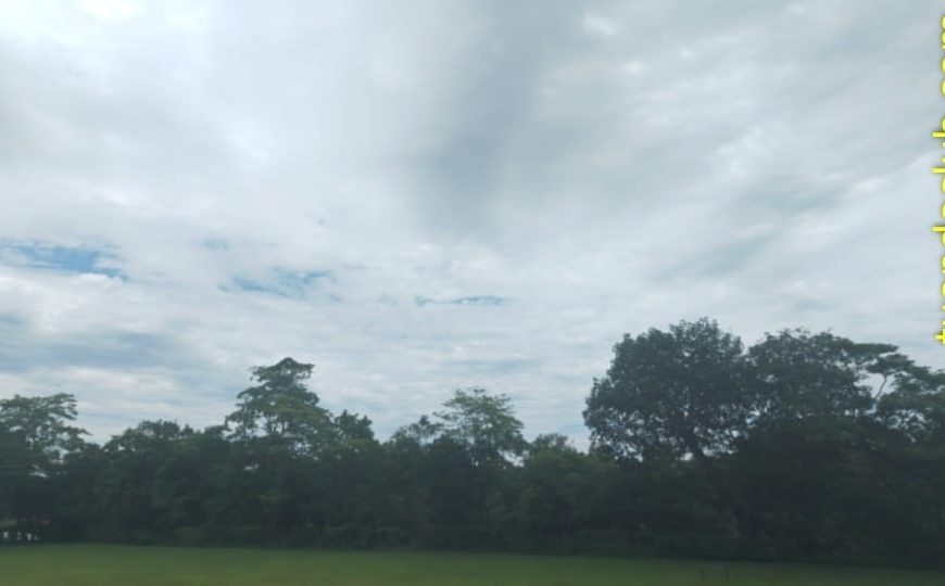 Pronóstico de muy corto plazo para la tarde. Válido de 12:00 m. a 6:00 p.m. del 11/07/2026.