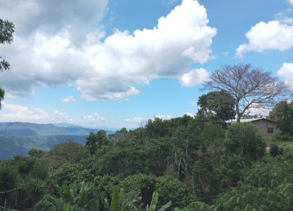 Clima para este miercoles, el cielo se mantendrá poco nublado, sin lluvias. Por la tarde
