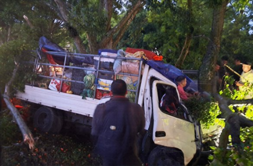 Camión cargado con mercadería choca contra un árbol en la carretera Panamericana.