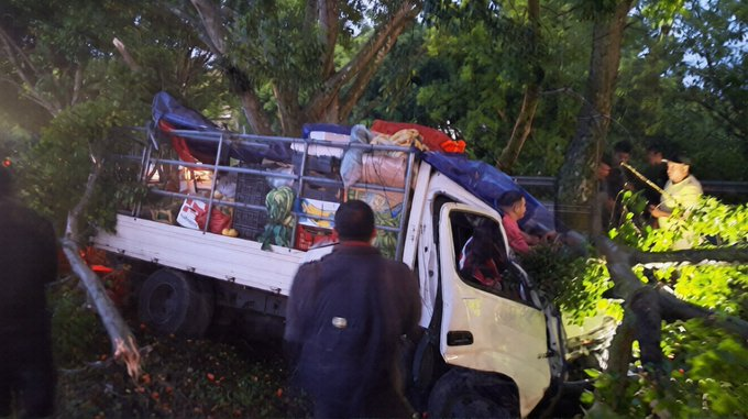 Camión cargado con mercadería choca contra un árbol en la carretera Panamericana.
